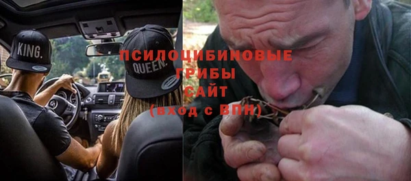 сатива Абдулино